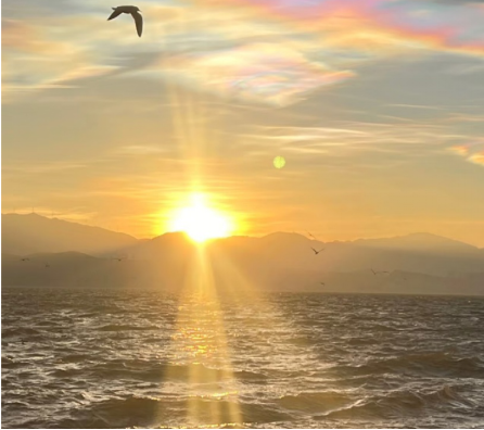 4e590d3101ba4ab9aefda18d9ba616ce.png image.png